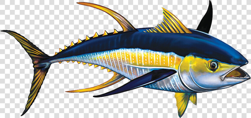 Porc tn42 Tuna Copy   Marlin  HD Png DownloadTransparent PNG
