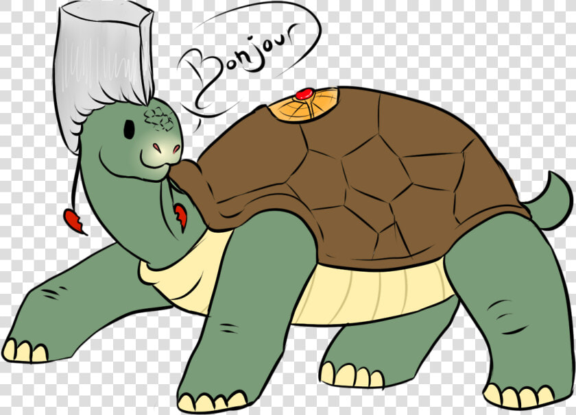 Jean Pierre Polnareff Turtle  HD Png DownloadTransparent PNG