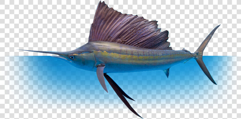 Whether You Re Fishing With Family And Friends  Or   Deep Sea Fishing Png  Transparent PngTransparent PNG