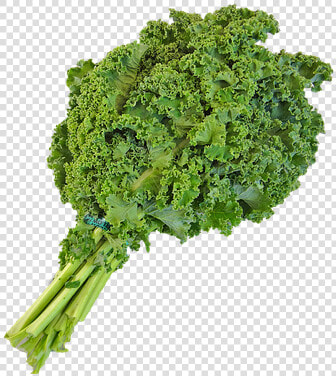 This Alt Value Should Not Be Empty If You Assign Primary   Kale Transparent Background  HD Png DownloadTransparent PNG