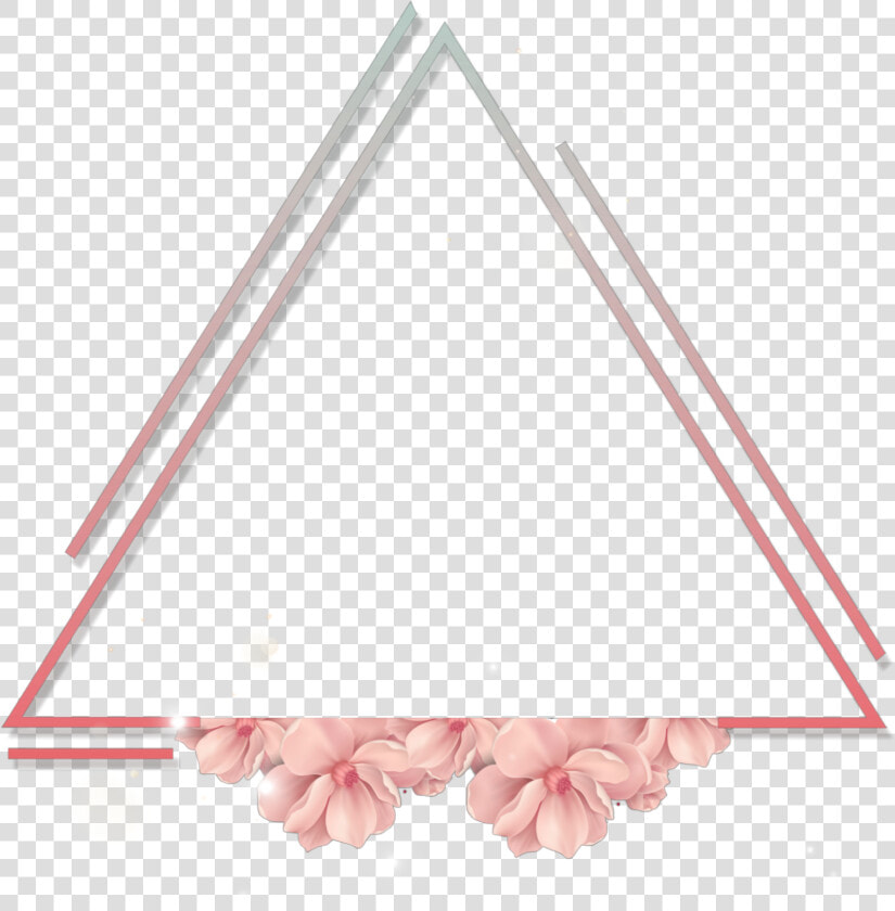  triangle  frame  flower  pink  rose  مثلت  اطار  ورد   Neon Figures Png  Transparent PngTransparent PNG