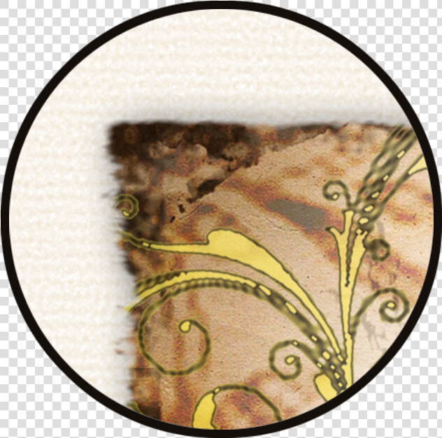 For Now  I Find Myself Drawn To Digitally Creating    Circle  HD Png DownloadTransparent PNG