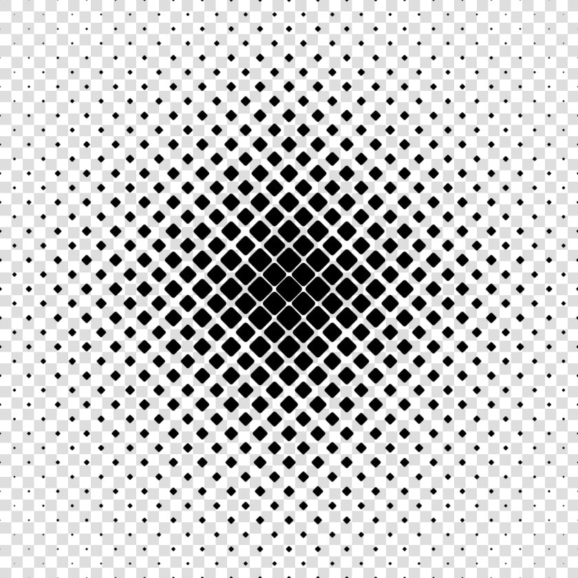 Symmetry monochrome Photography tree   Norges Padleforbund  HD Png DownloadTransparent PNG