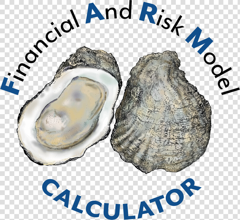 Transparent Oysters Png   Anti Acne Foods  Png DownloadTransparent PNG