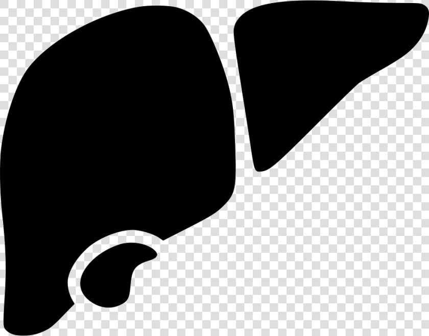 Liver   Liver Icon Png  Transparent PngTransparent PNG