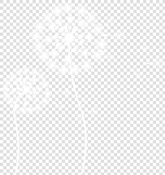 White Dandelion   Jhu Logo White  HD Png DownloadTransparent PNG