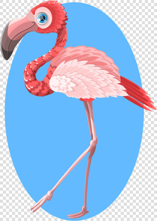 Flamingo Free To Use Cliparts   Flamingo Drawing  HD Png DownloadTransparent PNG