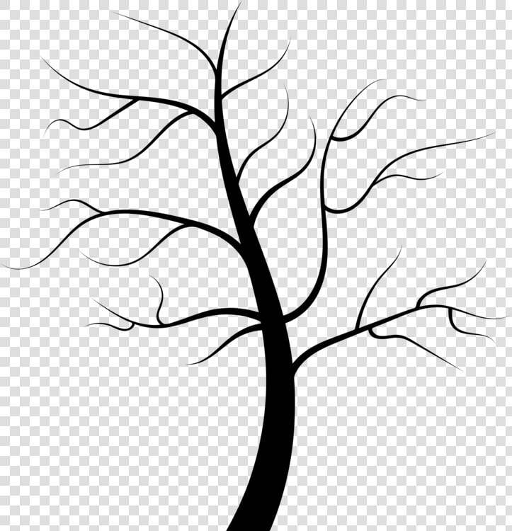 Line Art plant flora   Tree No Leaves Black And White  HD Png DownloadTransparent PNG