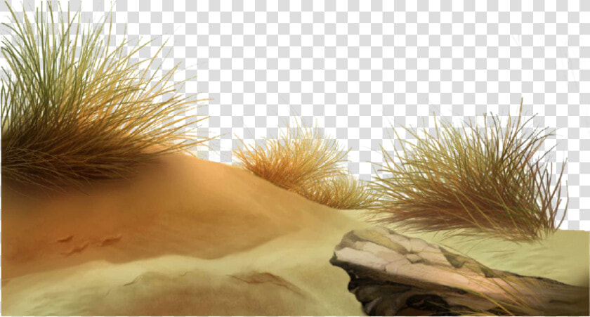  desert  landscape  background  wallpaper  grass  stone   Grass Landscape Background Png  Transparent PngTransparent PNG