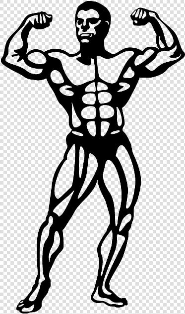 Bodybuilder  Muscle Set Muscle Memberships Jimmy Kimmel   Bodybuilder Clipart  HD Png DownloadTransparent PNG