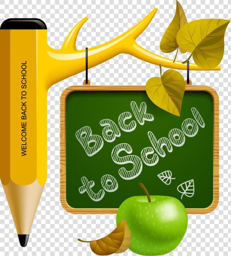 Lápiz De Color   Creative Vector Color Pencil Png  Transparent PngTransparent PNG