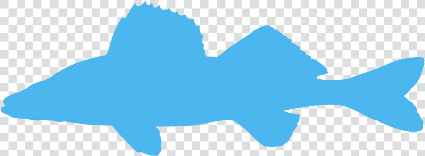 Transparent Walleye Fish Clip Art  HD Png DownloadTransparent PNG