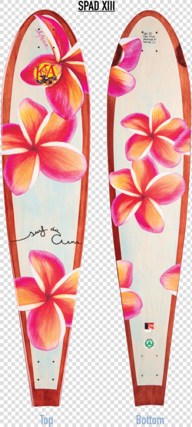 Plumeria Mahogany Longboard   Surfboard With Plumeria  HD Png DownloadTransparent PNG