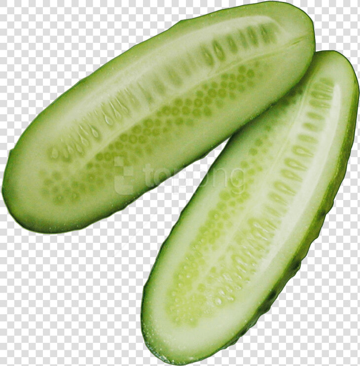 Cucumber Slice Png   Transparent Cucumber Png  Png DownloadTransparent PNG