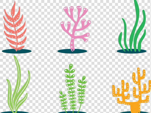 Seaweed Clipart Colorful   Colorful Cartoon Seaweed Clipart  HD Png DownloadTransparent PNG