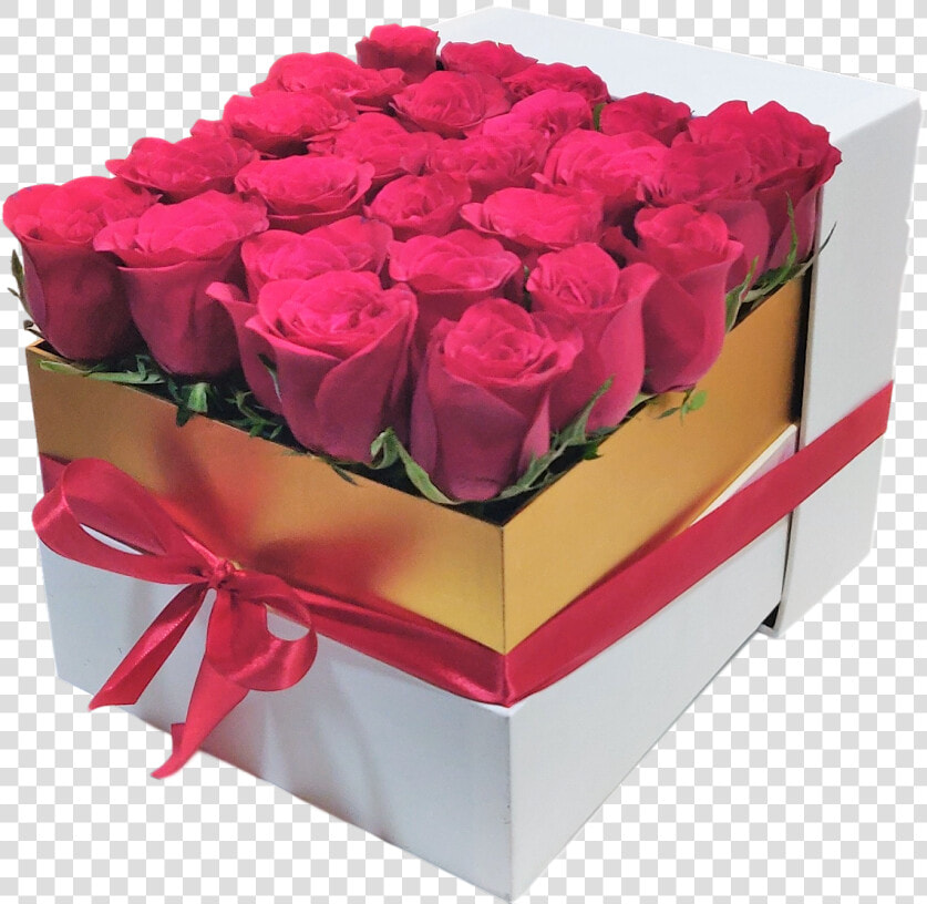 White Box 25 Red Roses Gift   Garden Roses  HD Png DownloadTransparent PNG