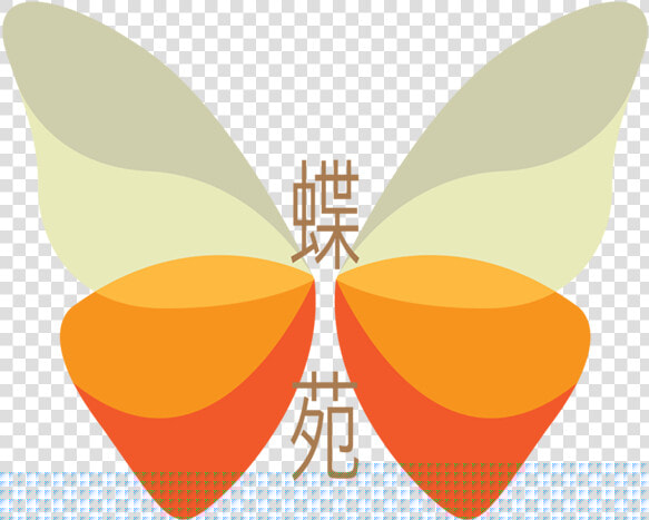 Net winged Insects  HD Png DownloadTransparent PNG