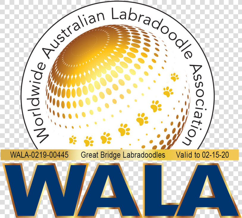Great Bridge Wala Logo 0219 00445  HD Png DownloadTransparent PNG