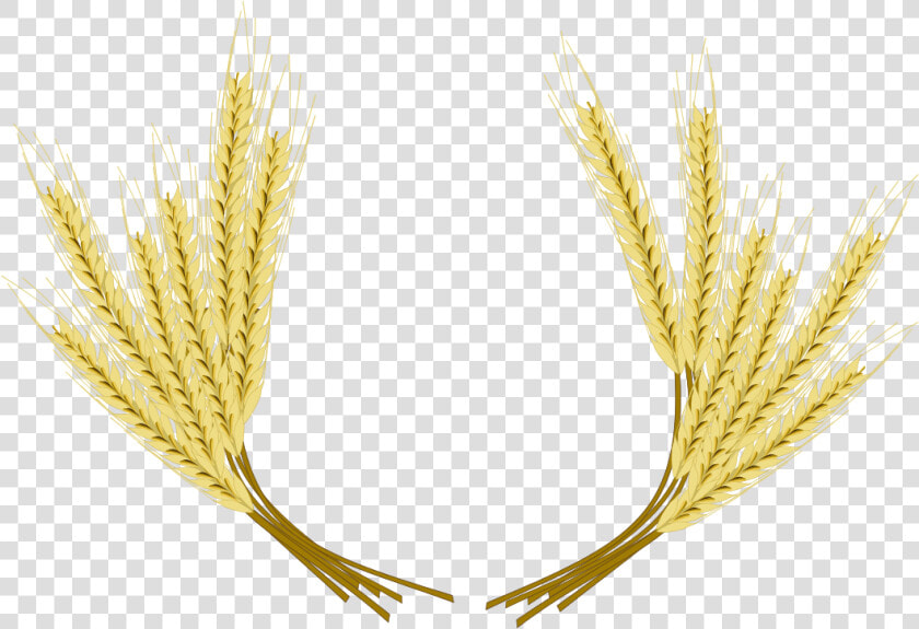 Barley Png Hd Image   Cevada Cerveja Png  Transparent PngTransparent PNG
