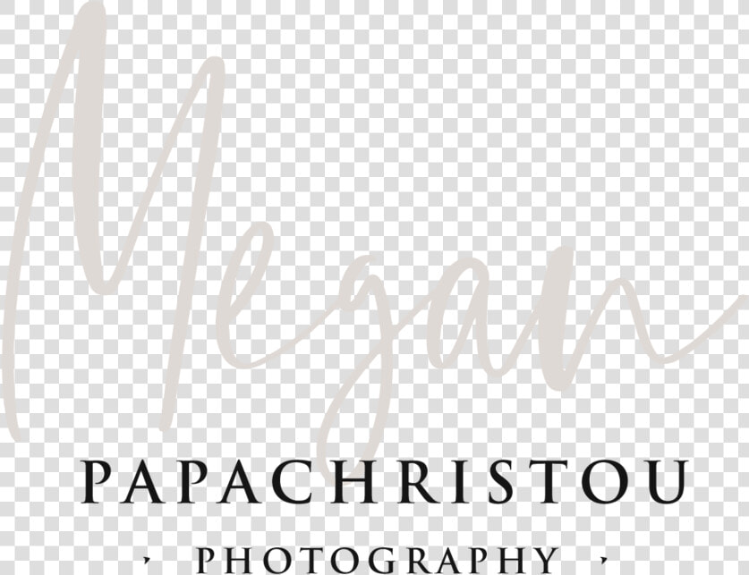 Fotografo Png  Transparent PngTransparent PNG