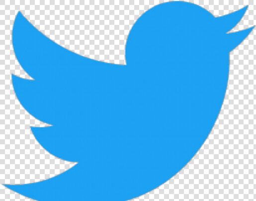 Twitter Logo   Transparent Background Twitter Logo  HD Png DownloadTransparent PNG