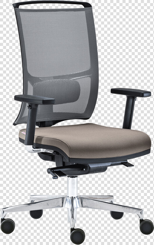 Milani Zed   Zed Milani  HD Png DownloadTransparent PNG