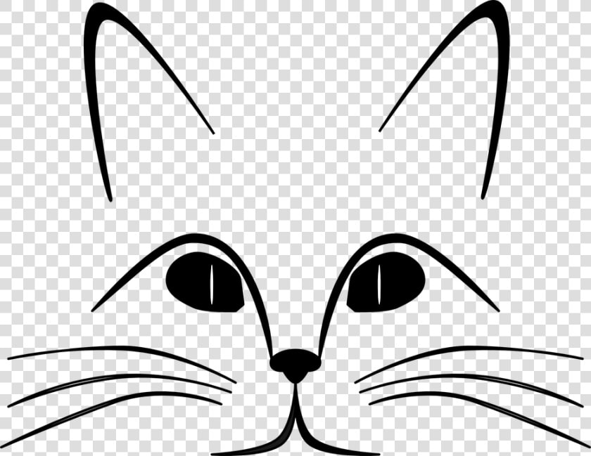 Cat  Ears  Eyes  Face  Feline  Gaze  Nose  Whiskers   Whiskers Coloring Pages  HD Png DownloadTransparent PNG