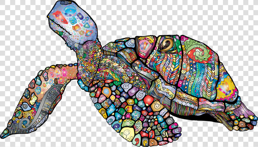 Turtle organism sea Turtle   World Sea Turtle Day 2019  HD Png DownloadTransparent PNG