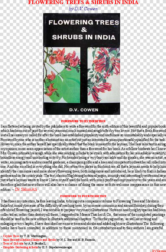 Anthurium  HD Png DownloadTransparent PNG