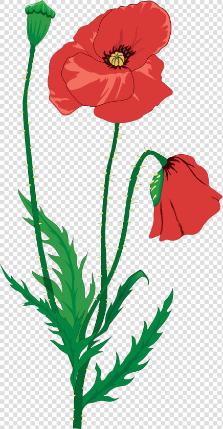 Transparent Veterans Day Clipart   Клипарт Мак  HD Png DownloadTransparent PNG