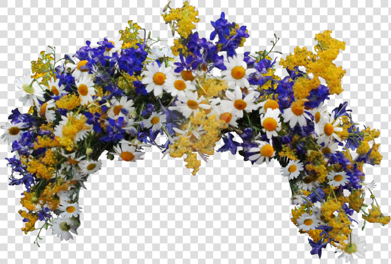  flowers  crown  flowercrown  wildflowers  daisyflower   Wildflower Flower Crown Transparent  HD Png DownloadTransparent PNG