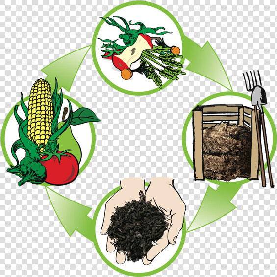 Compost Cycle  HD Png DownloadTransparent PNG