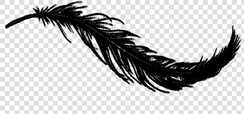 Songwriting Escape Feather Black   Transparent Background Black Feather Png  Png DownloadTransparent PNG