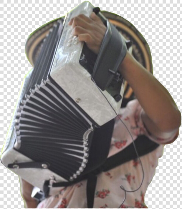 Acordeones Colombianos Png  Transparent PngTransparent PNG