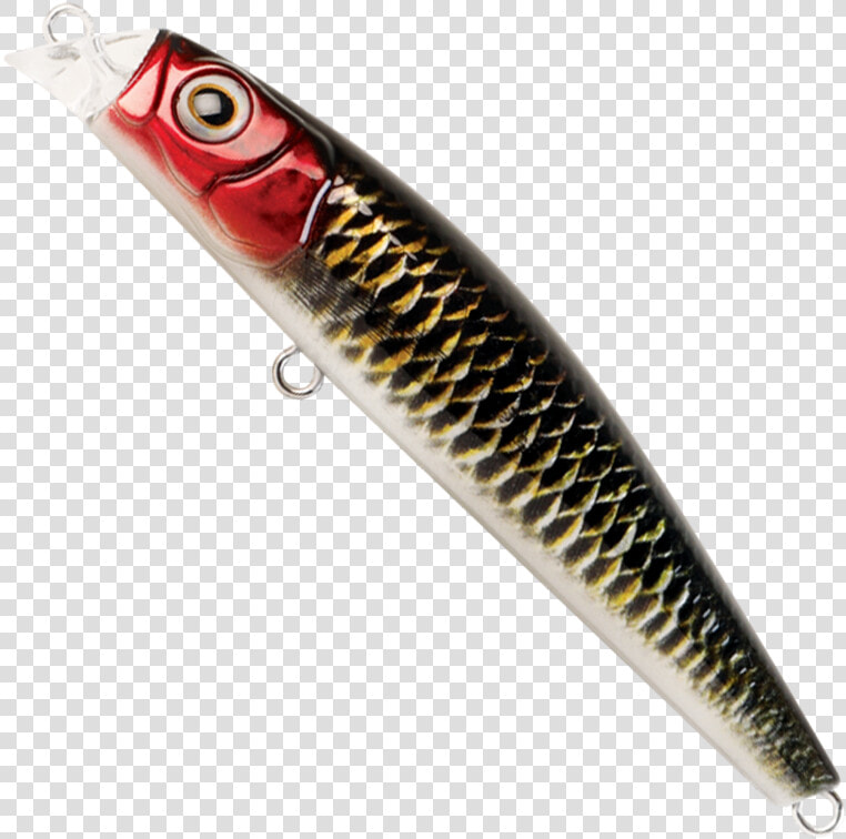 Fin  HD Png DownloadTransparent PNG