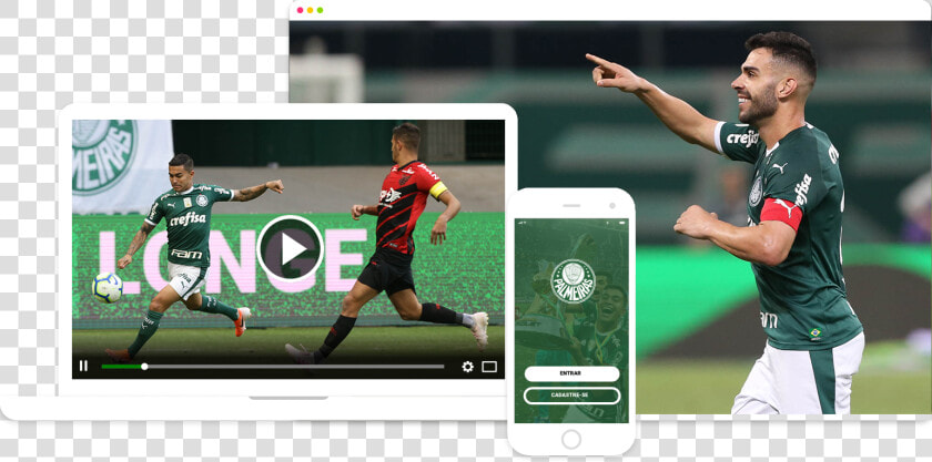 Palmeiras Png  Transparent PngTransparent PNG