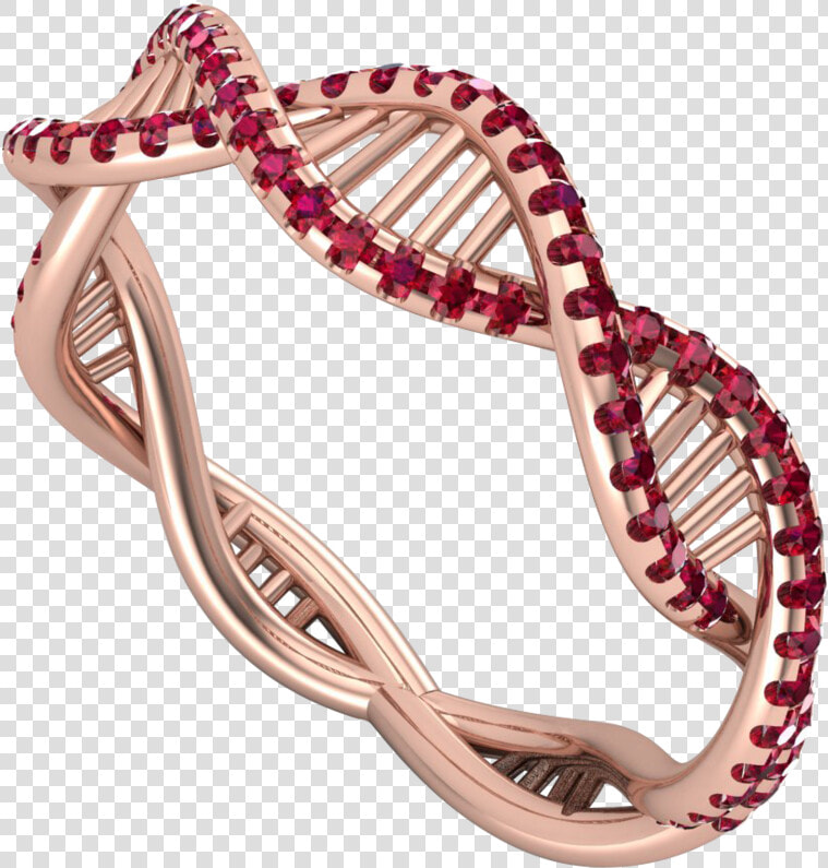 Transparent Gold Accent Png   Corn Snake  Png DownloadTransparent PNG