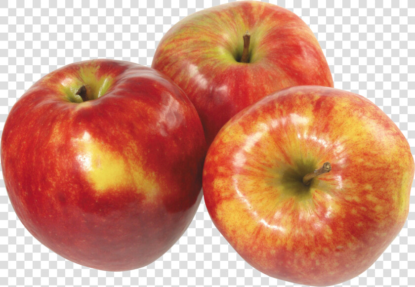 Apple Png   Apples Transparent Png  Png DownloadTransparent PNG