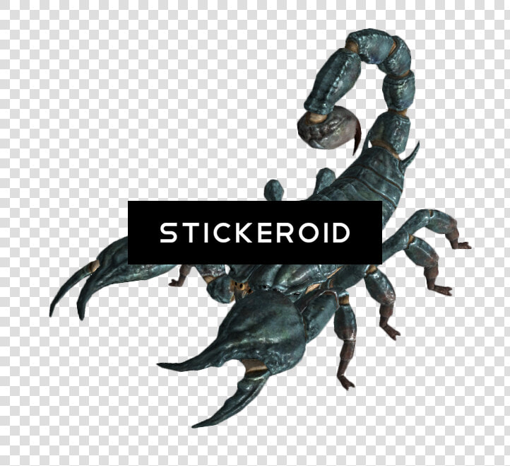 Scorpion Insects Scorpions  HD Png DownloadTransparent PNG