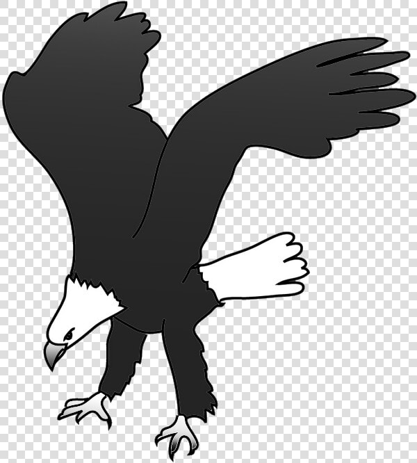 Bald Eagle Drawing Landing For Prey   New Eagle Landing Clipart  HD Png DownloadTransparent PNG