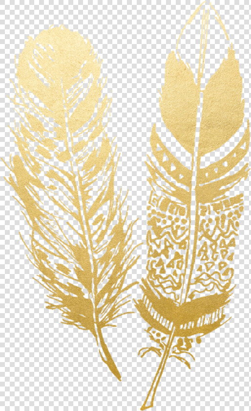 Transparent Feather Png Transparent   Transparent Gold Feather Png  Png DownloadTransparent PNG