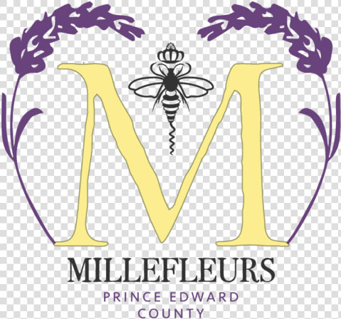 Lavander Png  Transparent PngTransparent PNG