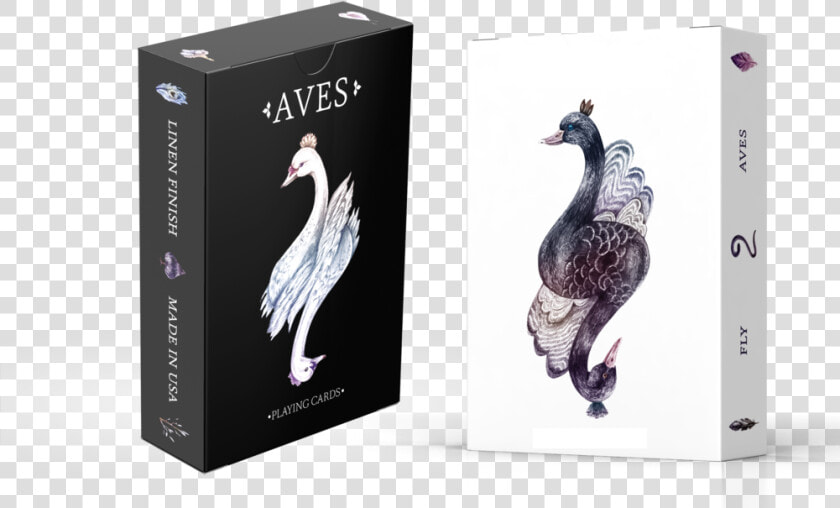 Aves Perspective Both Decks Mockup Png  Transparent PngTransparent PNG