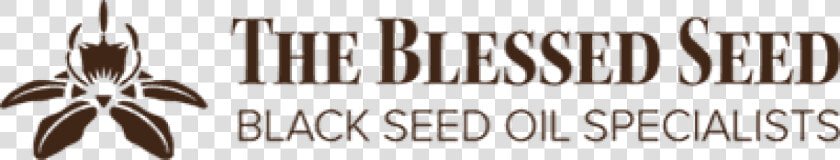 Blessed Png  Transparent PngTransparent PNG