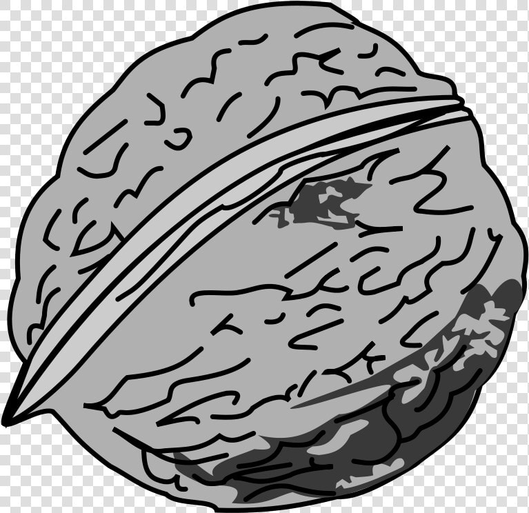Black And White Picture Of Walnut   Nut Black And White  HD Png DownloadTransparent PNG
