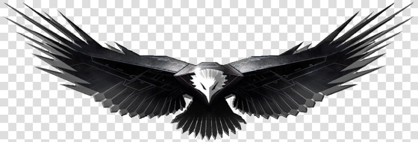 Eagles Design Five Isolated   Transparent Background Eagle Png Hd  Png DownloadTransparent PNG