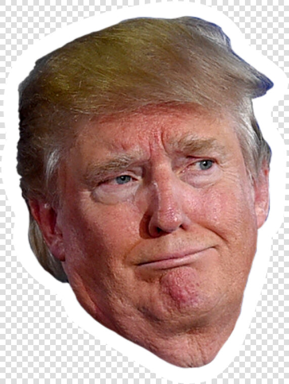 Donald Trump Png Image   Donald Trump Face Transparent Background  Png DownloadTransparent PNG