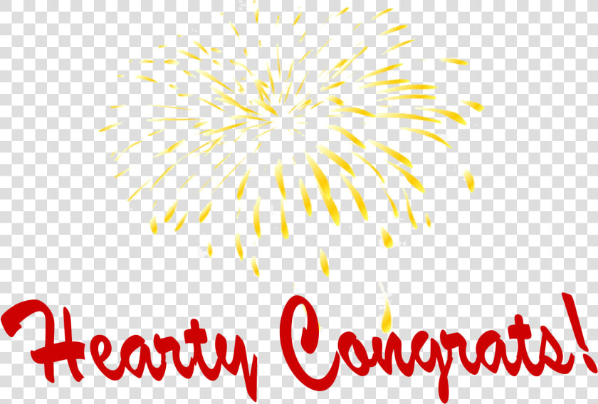 Hearty Congrats Png Photo   Fireworks  Transparent PngTransparent PNG