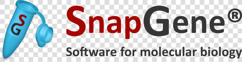 Gene Png  Transparent PngTransparent PNG
