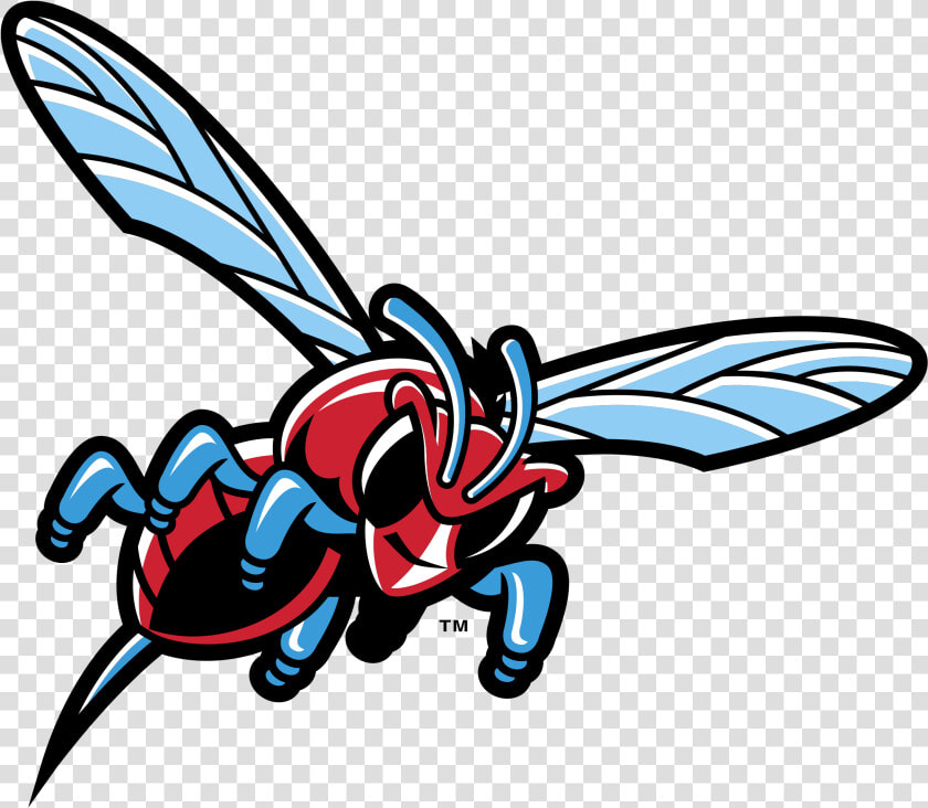 Transparent Delaware State University Logo  HD Png DownloadTransparent PNG